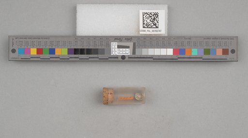 NSF ADBC EPICC TCN