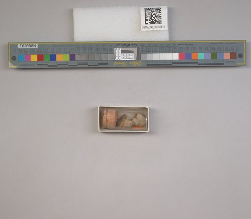 NSF ADBC EPICC TCN