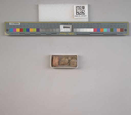 NSF ADBC EPICC TCN