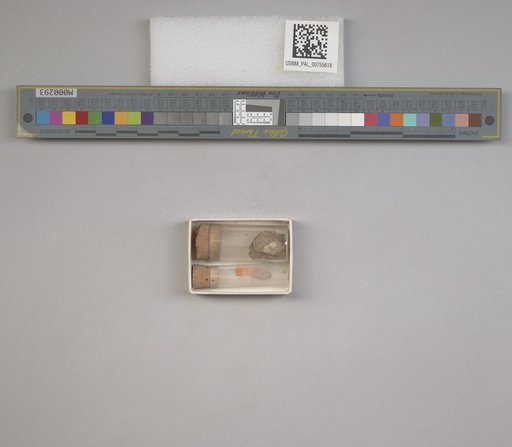 NSF ADBC EPICC TCN