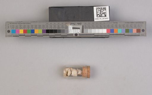 NSF ADBC EPICC TCN