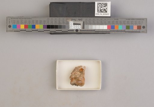 NSF ADBC EPICC TCN