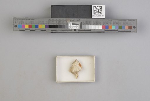 NSF ADBC EPICC TCN