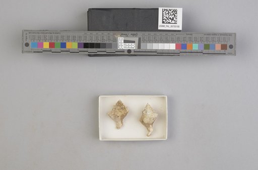 NSF ADBC EPICC TCN