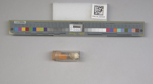 NSF ADBC EPICC TCN