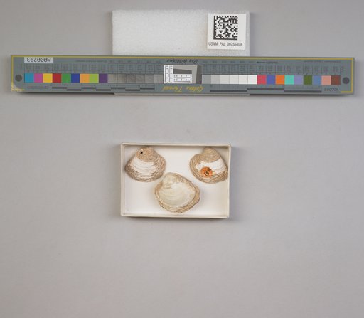 NSF ADBC EPICC TCN