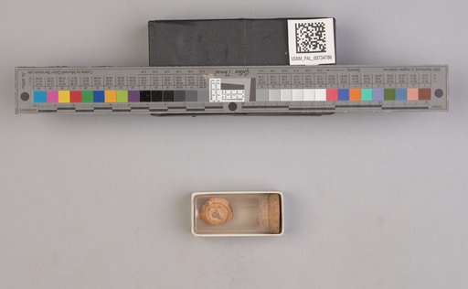 NSF ADBC EPICC TCN