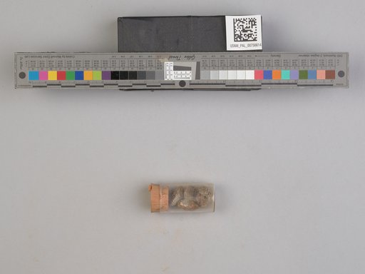 NSF ADBC EPICC TCN