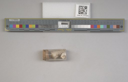 NSF ADBC EPICC TCN