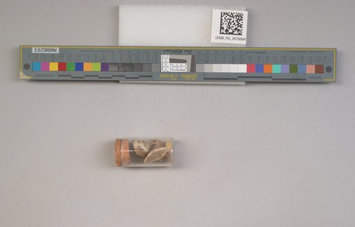 NSF ADBC EPICC TCN