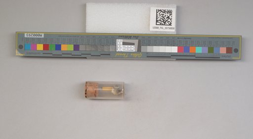 NSF ADBC EPICC TCN