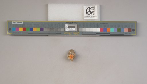 NSF ADBC EPICC TCN