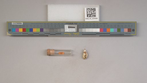 NSF ADBC EPICC TCN