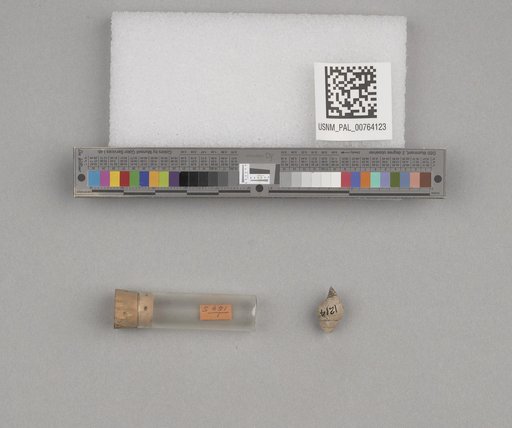 NSF ADBC EPICC TCN