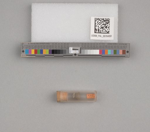 NSF ADBC EPICC TCN