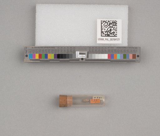NSF ADBC EPICC TCN