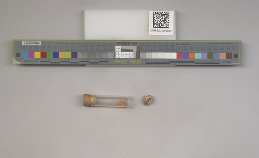NSF ADBC EPICC TCN