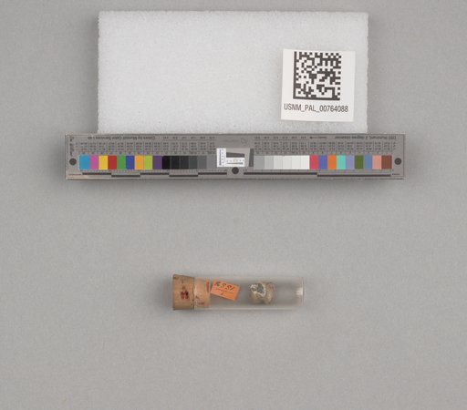 NSF ADBC EPICC TCN