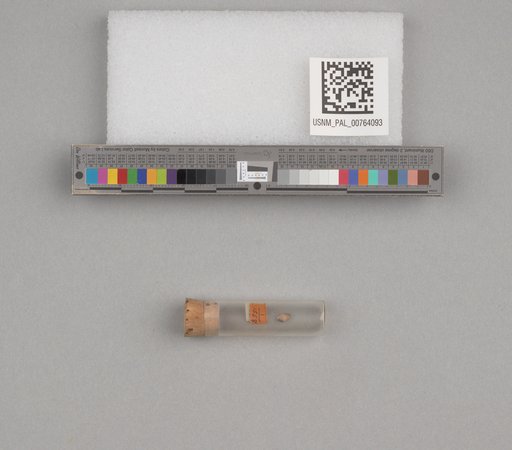 NSF ADBC EPICC TCN