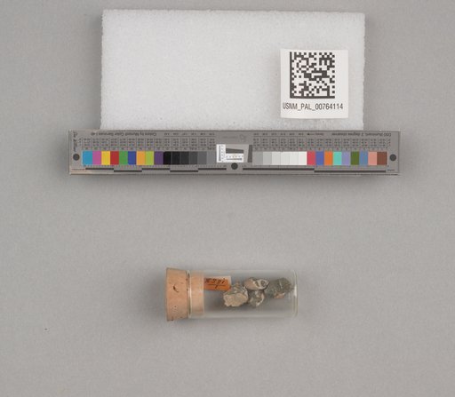 NSF ADBC EPICC TCN