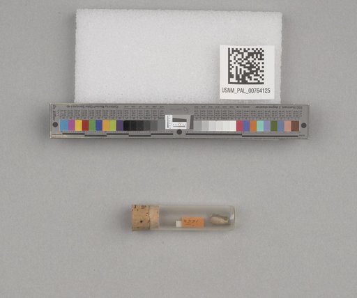 NSF ADBC EPICC TCN