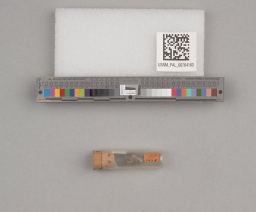 NSF ADBC EPICC TCN