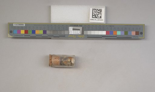 NSF ADBC EPICC TCN
