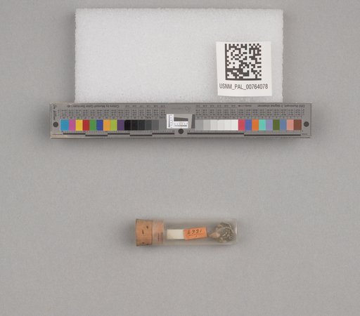 NSF ADBC EPICC TCN