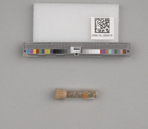 NSF ADBC EPICC TCN