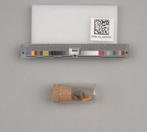 NSF ADBC EPICC TCN