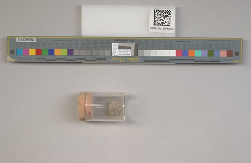 NSF ADBC EPICC TCN