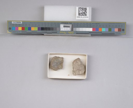 NSF ADBC EPICC TCN