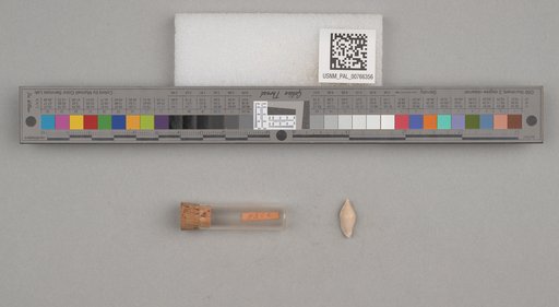 NSF ADBC EPICC TCN