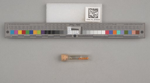 NSF ADBC EPICC TCN