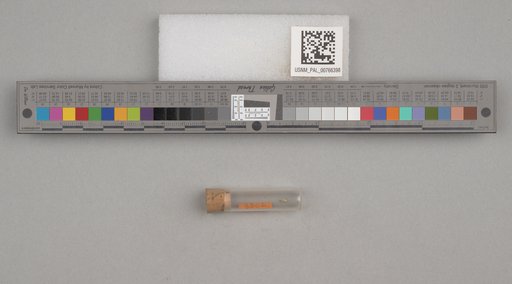 NSF ADBC EPICC TCN