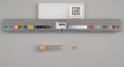 NSF ADBC EPICC TCN