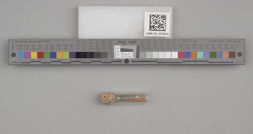 NSF ADBC EPICC TCN