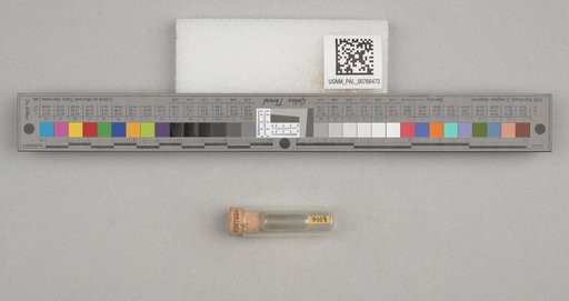 NSF ADBC EPICC TCN