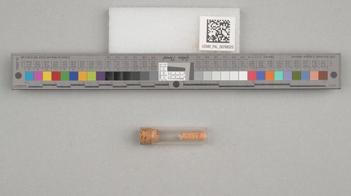 NSF ADBC EPICC TCN