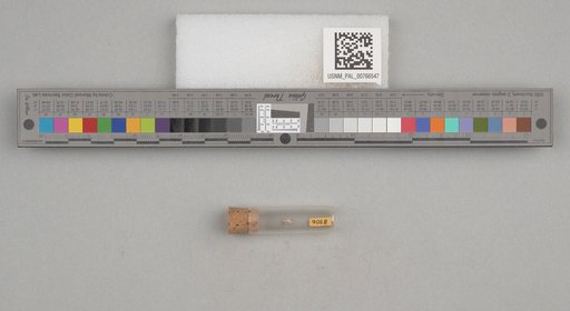 NSF ADBC EPICC TCN