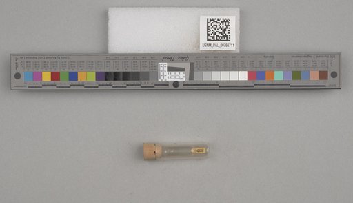 NSF ADBC EPICC TCN