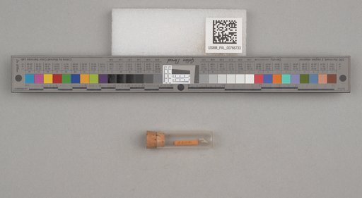 NSF ADBC EPICC TCN