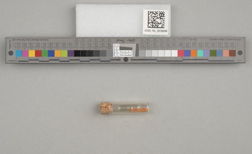 NSF ADBC EPICC TCN