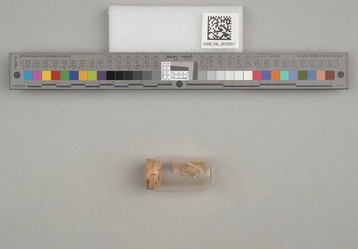 NSF ADBC EPICC TCN