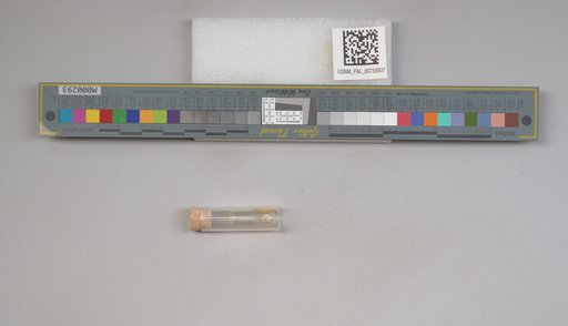 NSF ADBC EPICC TCN