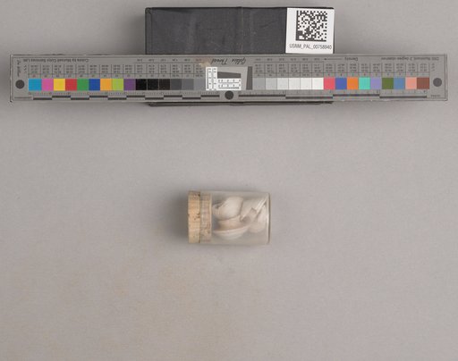 NSF ADBC EPICC TCN
