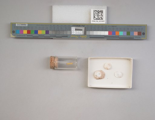 NSF ADBC EPICC TCN