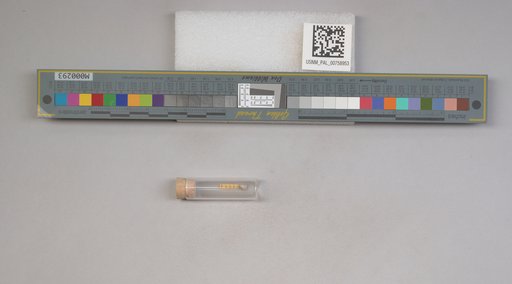 NSF ADBC EPICC TCN