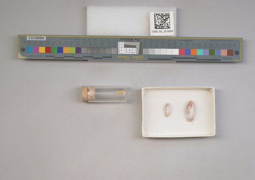 NSF ADBC EPICC TCN