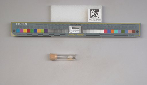 NSF ADBC EPICC TCN